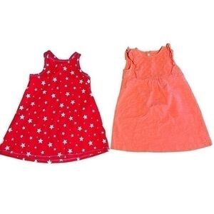 2-Dress Lot Carter Cat & Jack Size 2T